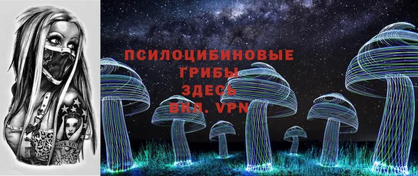 СК Заволжск