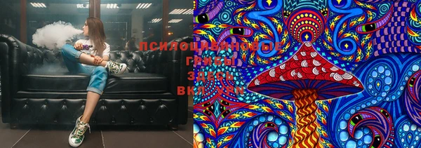 прущие грибы Заволжье
