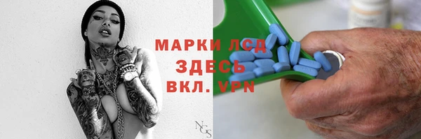 прущие грибы Заволжье