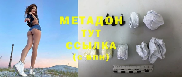 прущие грибы Заволжье