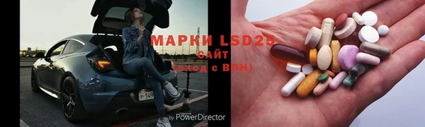 прущие грибы Заволжье