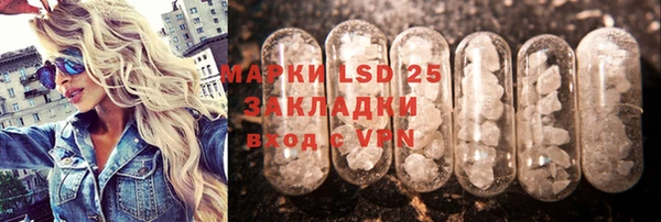 прущие грибы Заволжье