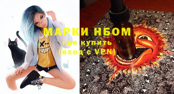 прущие грибы Заволжье