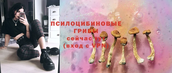 СК Заволжск