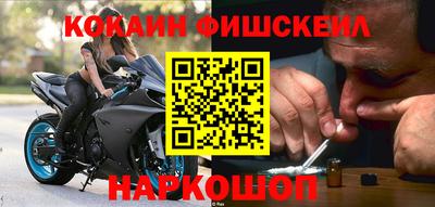 прущие грибы Усть-Илимск