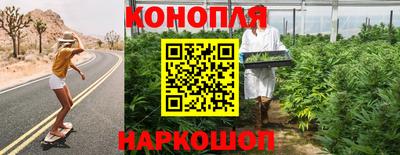 сатива Уссурийск