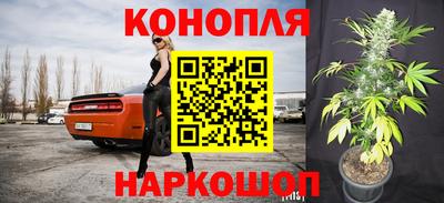 mdpv Усть-Джегута