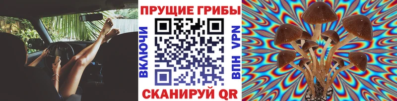 Галлюциногенные грибы Psilocybe  Радужный 