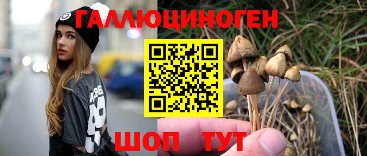 Псилоцибиновые грибы мицелий Радужный