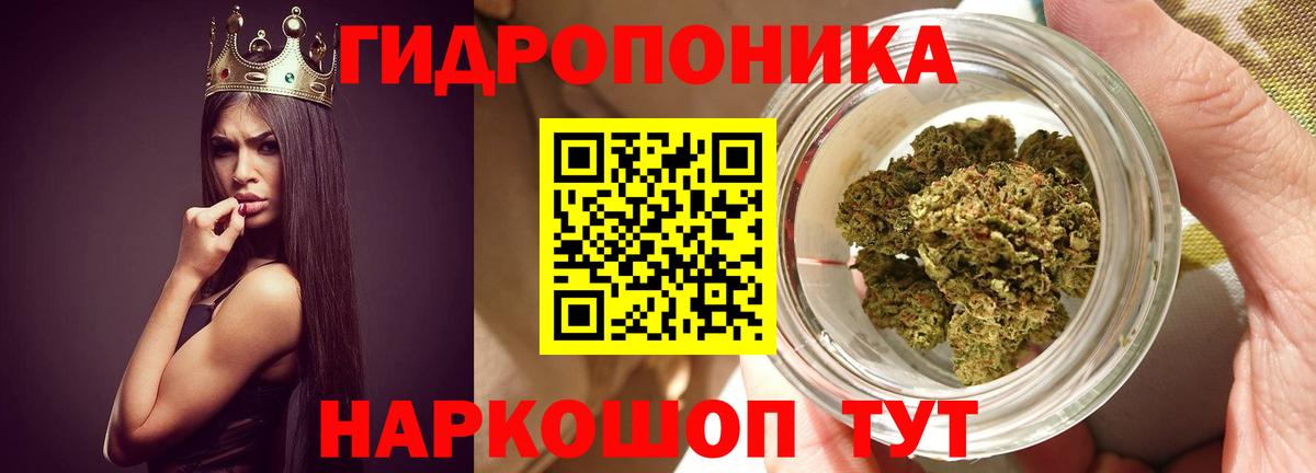 Каннабис AK-47 Радужный