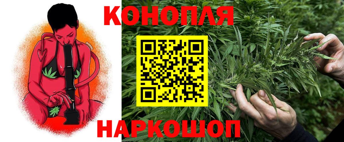 Бошки Шишки сатива  Вход с VPN  Радужный  Канабис планчик  Конопля конопля 